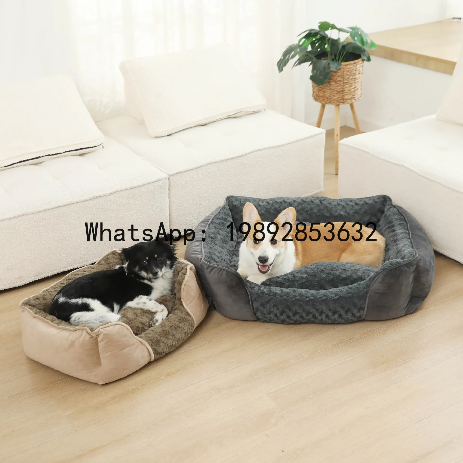Pet X Supplies & Tack Howell Photos - Xキャットハウス半密閉型犬小屋オールシーズンペット用品