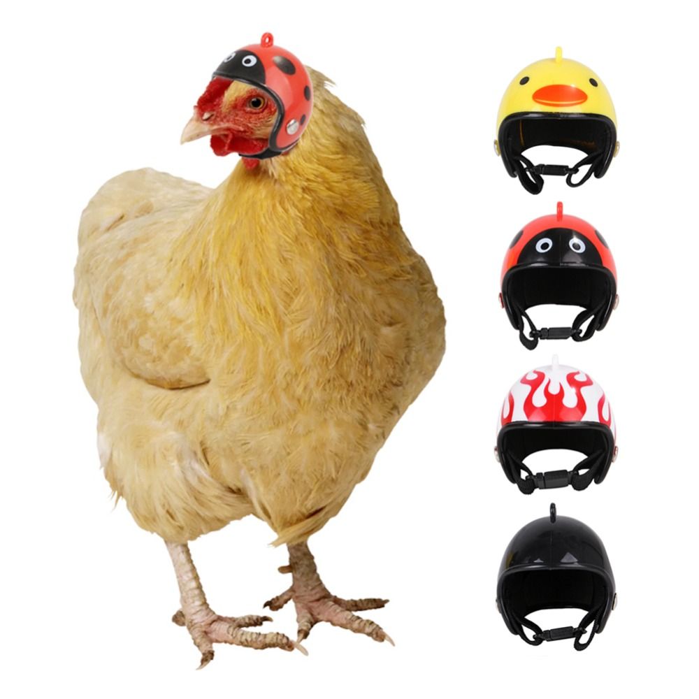Pet X Supplies & Tack Howell Photos - ABSペット用品 面白いペット用保護ヘッドギア 鳥用保護キャップ 日よけ雨よけ帽子 鶏用ヘルメット