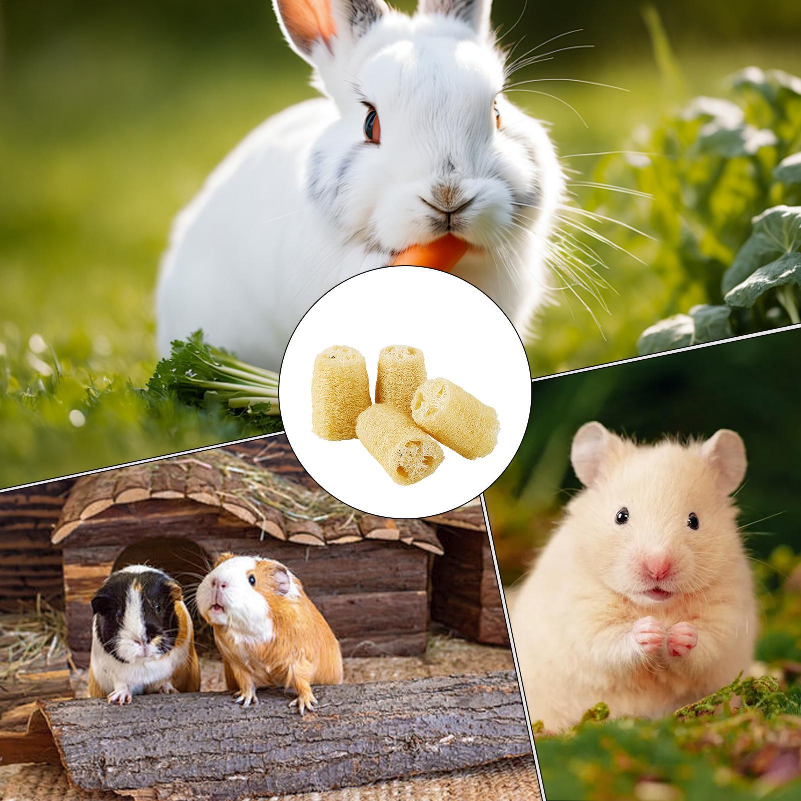 Pet Supplies Pet Shop - ウサギ用おもちゃ4個入り ルーファ チンチラ 噛むおもちゃ 小動物用おもちゃ ペットの飼い主