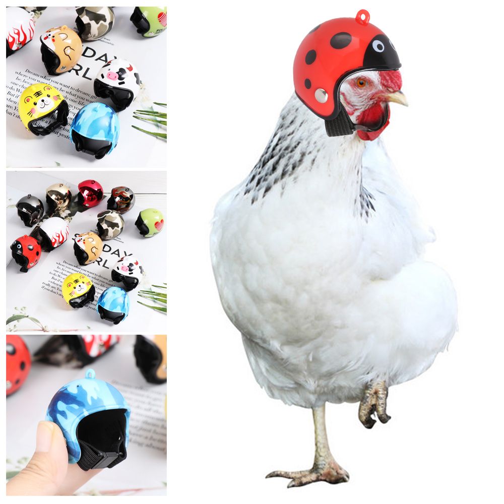 Pet X Supplies & Tack Howell Photos - ABS製面白いペット用品ペット用保護ヘッドギア鳥用保護キャップ鶏用ヘルメット日よけ雨よけ帽子