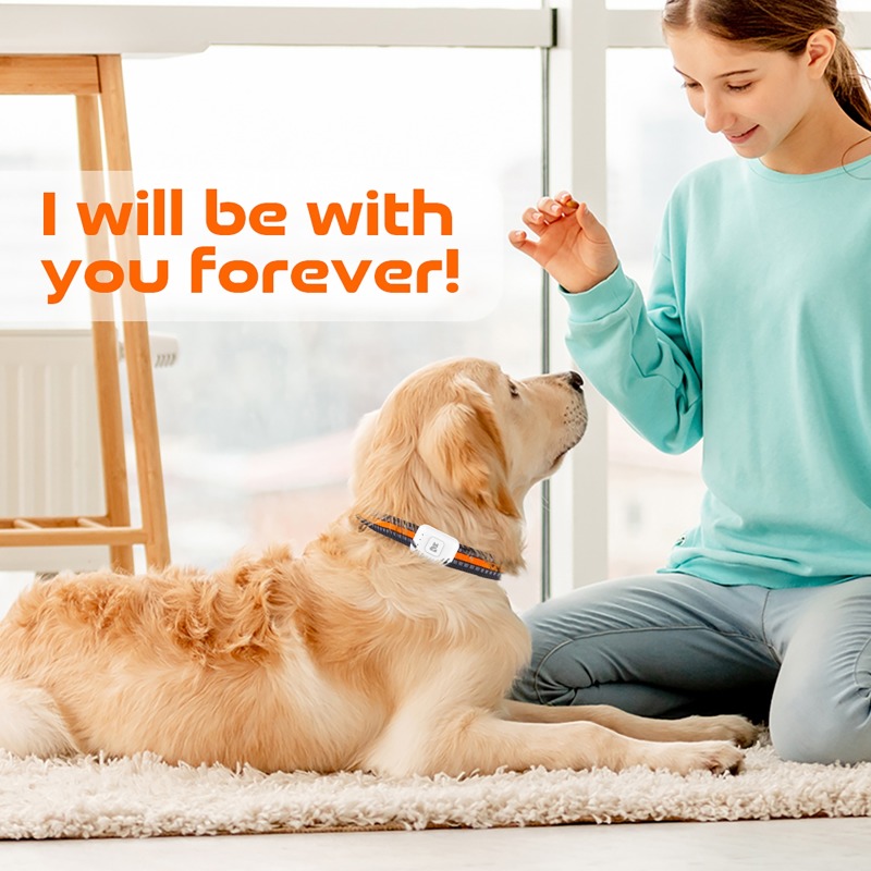 ペットGPS AGPS追跡デバイス 4GペットGPSトラッカ - Pet Supplies Direct のレビューと価格