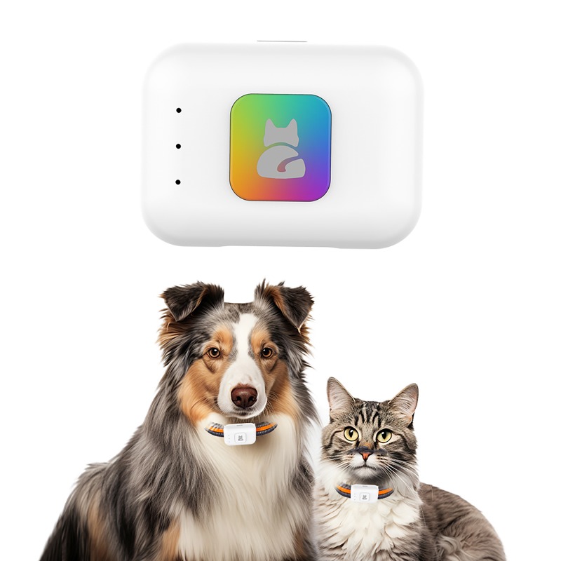 ペットGPS AGPS追跡デバイス 4GペットGPSトラッカ - Pet Supplies Direct のレビューと価格