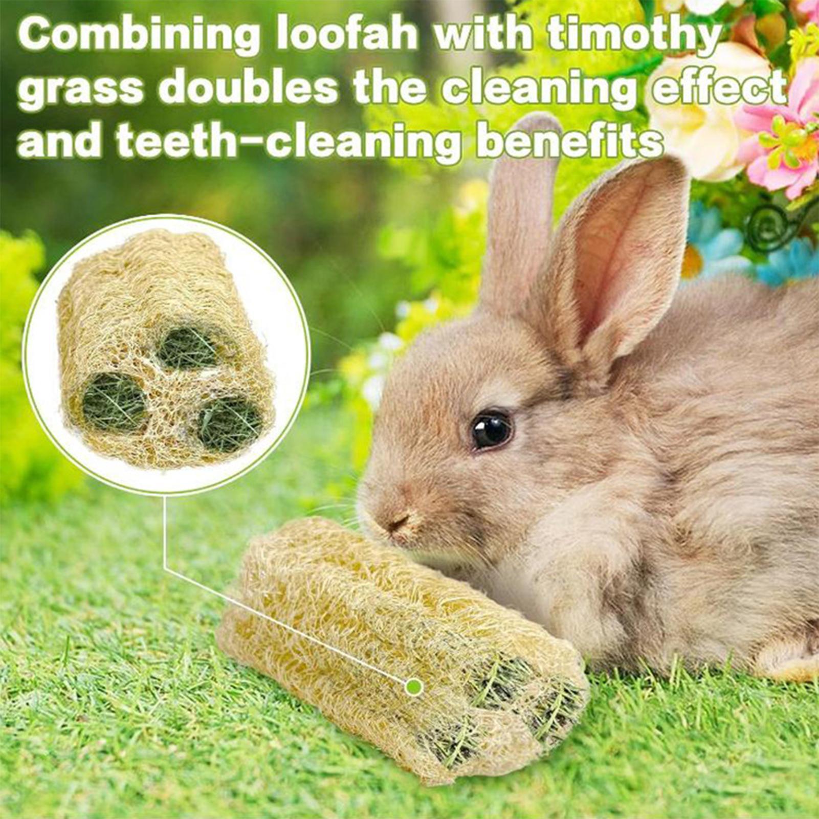 ウサギ用噛むおもちゃ 4個入り ルーファウサギ遊び用品 ハム - Pet Supplies Pet Shop のレビューと価格