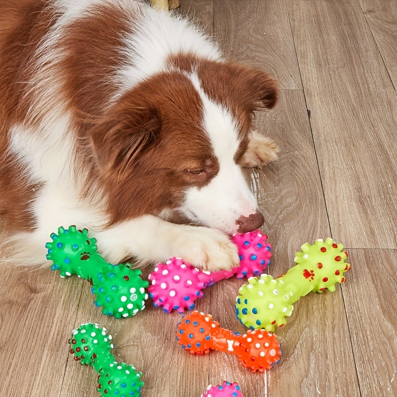 大型犬用犬のおもちゃ1個入り　可愛いペット犬子犬猫用噛むおも - Pet Supplies Pet Shop のレビューと価格