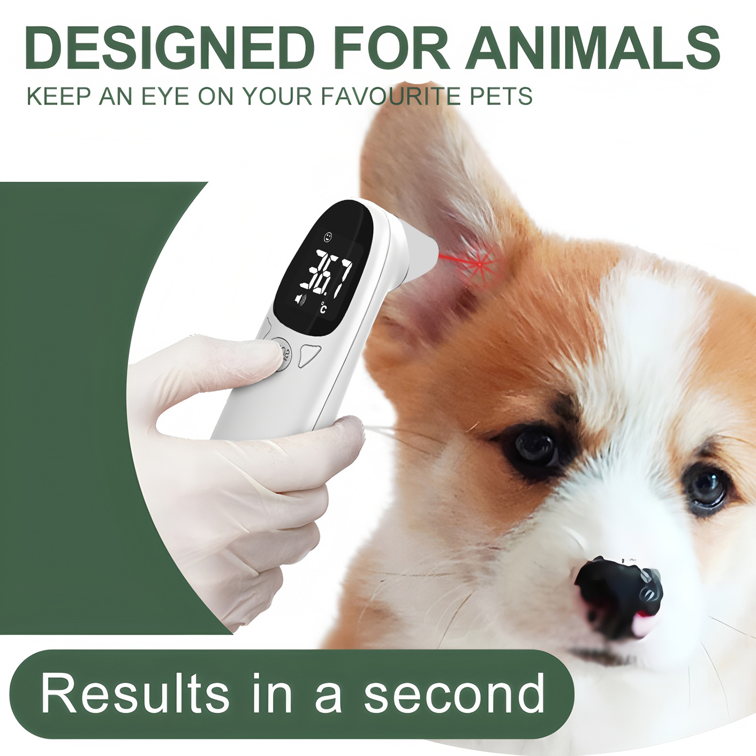 ペット耳用デジタル体温計非接触電子温度測定器犬猫子犬獣医用品 - Pet Supplies Direct のレビューと価格