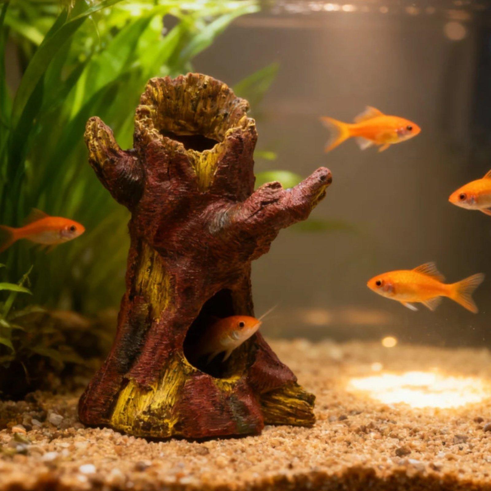 水槽の景観装飾、水槽デコレーション、樹脂製の木の幹のシェルタ - Aquarium Fish Tank のレビューと価格