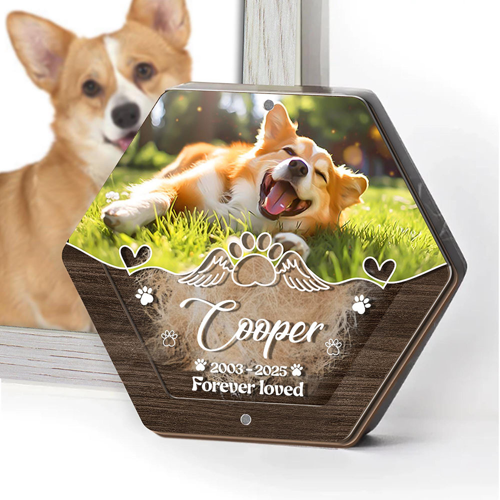 パーソナライズネーム木製彫刻ペットヘア収納ボックスペット用品 - Pet Supplies Direct のレビューと価格