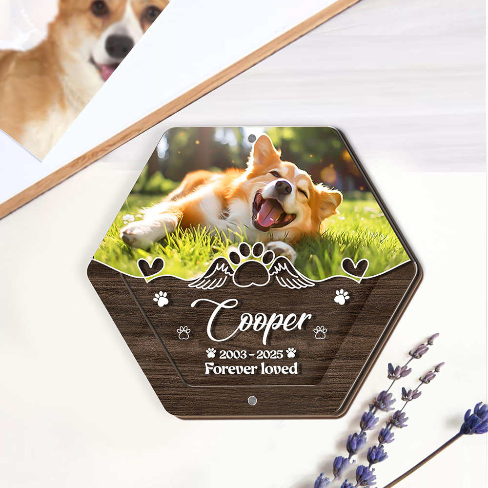 パーソナライズネーム木製彫刻ペットヘア収納ボックスペット用品 - Pet Supplies Direct のレビューと価格