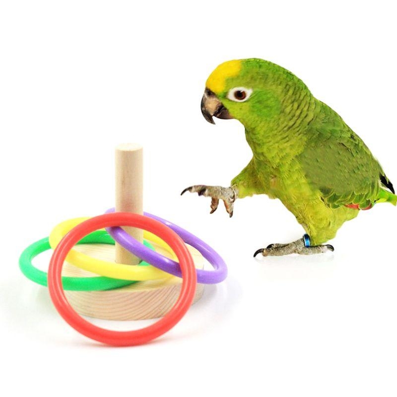 鳥オウム木製プラットフォームプラスチックリング知能トレーニン - Pet Supplies Ringwood のレビューと価格