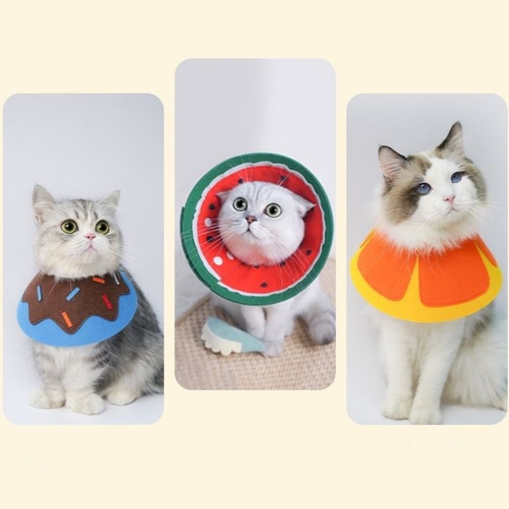実用的なソフトエリザベスカラー、噛みつき防止、調節可能なエリ - Pet Supplies Ringwood のレビューと価格