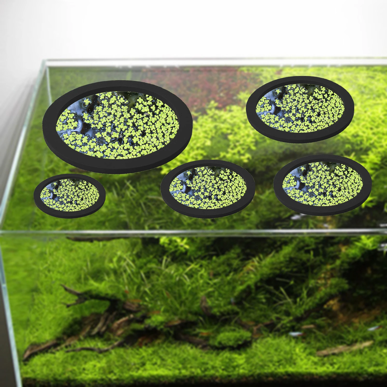 5 個 EVA 魚給餌リング水族館浮遊植物囲い水槽フロート植 - Aquarium Fish Tank のレビューと価格