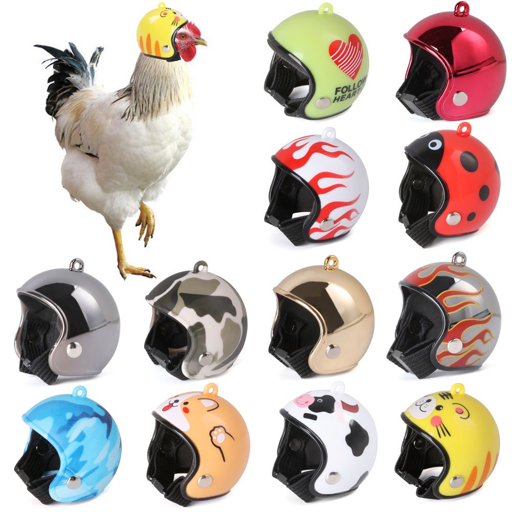 ABSペット用品 面白いペット用保護ヘッドギア 鳥用保護キャ - Pet X Supplies & Tack Howell Photos のレビューと価格