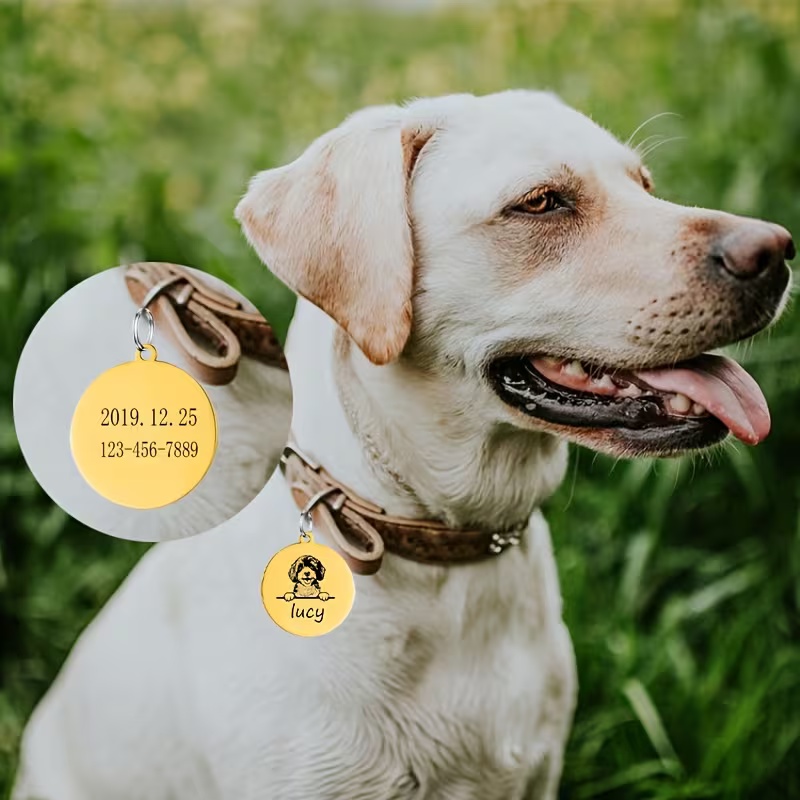 カスタムペット名入り子犬用迷子防止首輪　可愛い彫刻入りステン - Pet Supplies Direct のレビューと価格
