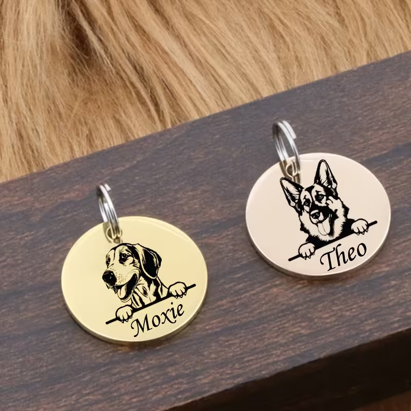 カスタムペット名入り子犬用迷子防止首輪　可愛い彫刻入りステン - Pet Supplies Direct のレビューと価格