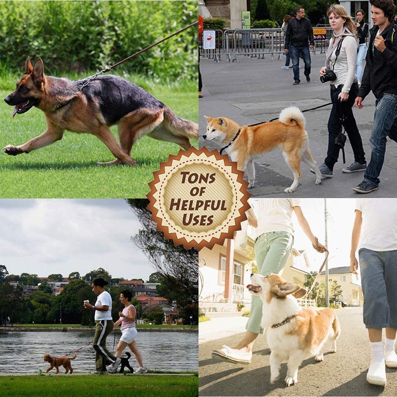 Benepaw-ペット用の手作りの牛革レザーの鎖,大型犬用の - Pet Supplies Pet Shop のレビューと価格